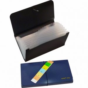CLASIFICADOR PLASTICO 12 DIV CHEQUES